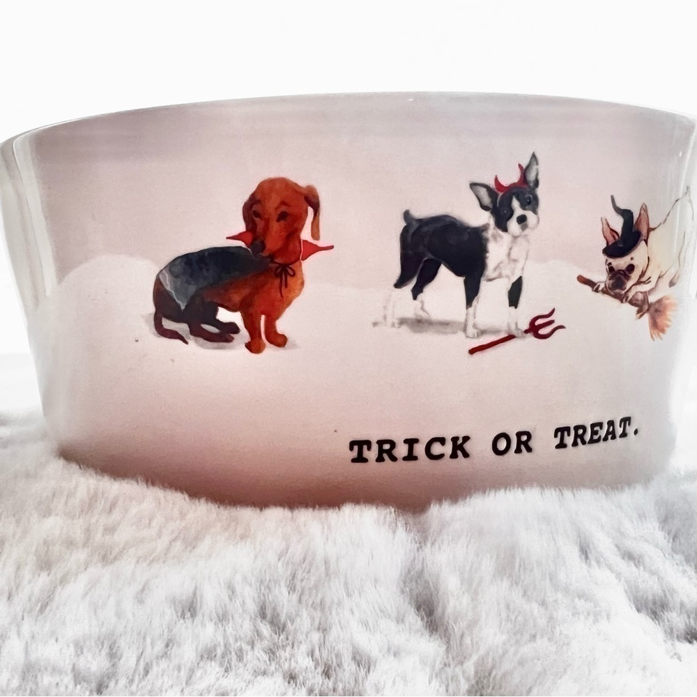 Dog Lover’s Halloween Collection - Water bowl, treat jar, and leash tray - Picture 2 of 16